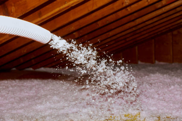 Best Soundproof Insulation Installation  in Lynchburg, VA